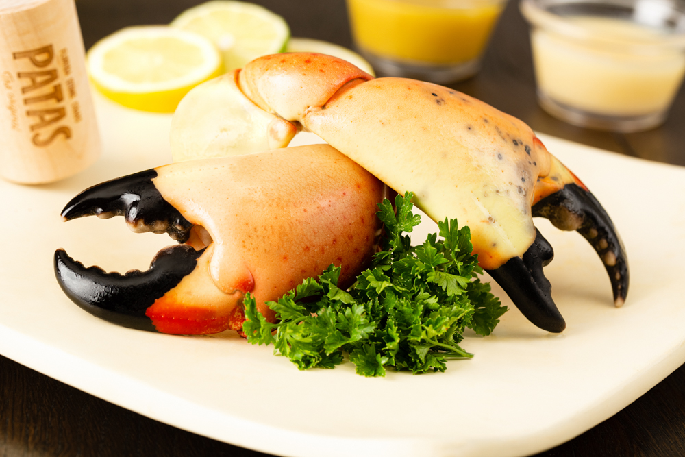 Patas Stone Crab | restaurant | 4072 NE 5th Terrace, Oakland Park, FL 33334, USA | 3055050237 OR +1 305-505-0237