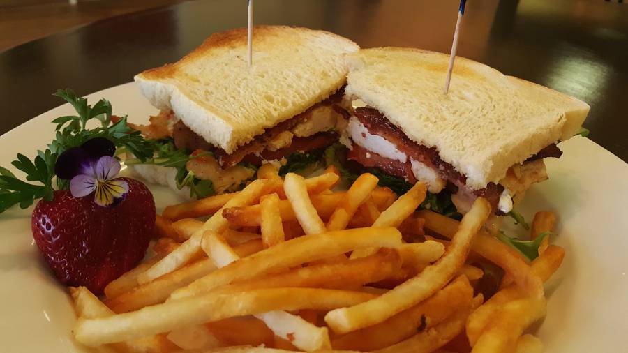 Bleu Café | restaurant | 240 E Winnie Ln, Carson City, NV 89706, USA | 7752973301 OR +1 775-297-3301