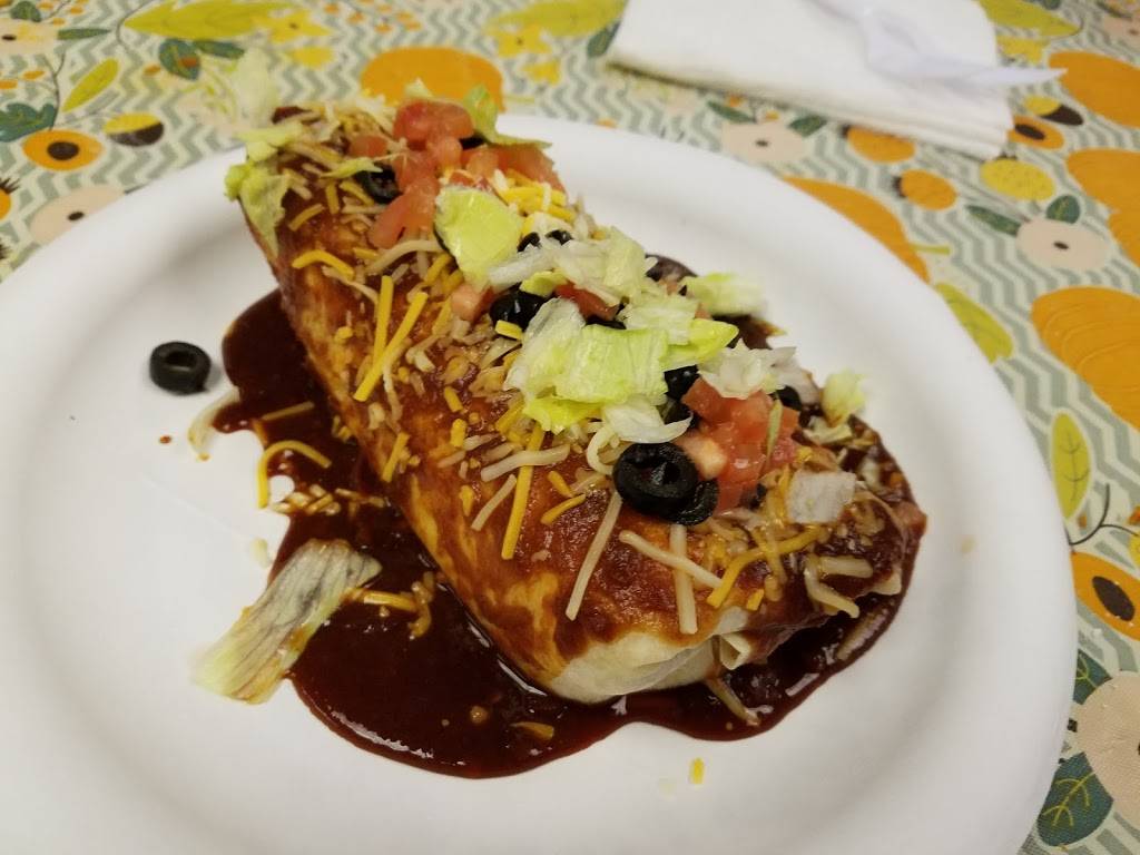 The Salsa Lady | restaurant | 5618 E Skyline Dr, San Tan Valley, AZ 85140, USA | 4809870904 OR +1 480-987-0904