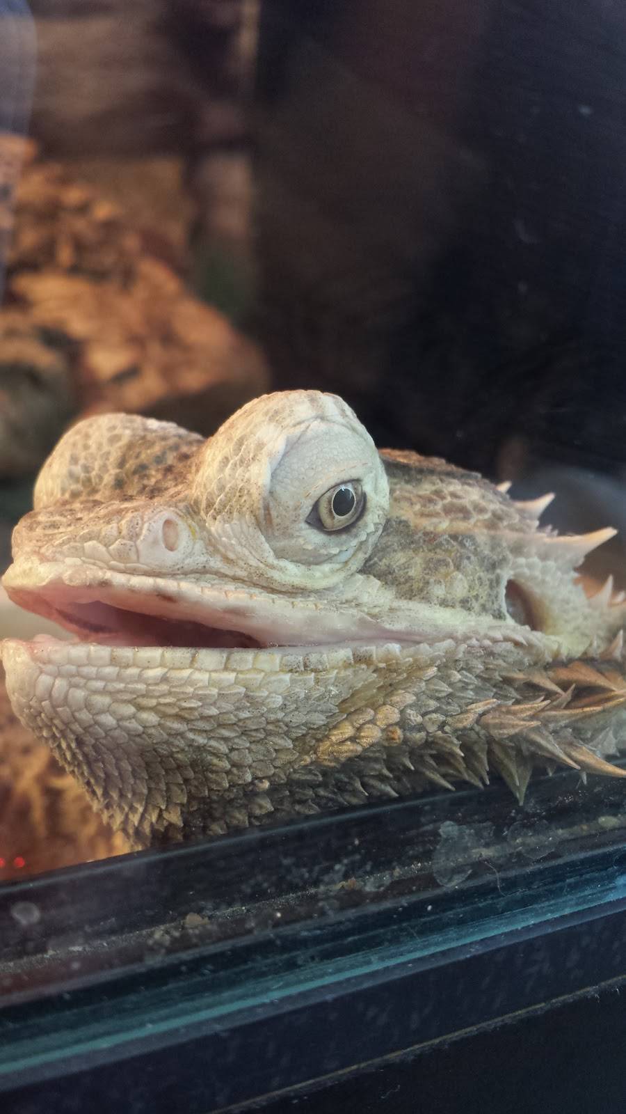 Panchos Mexican Grill | restaurant | 577 H St, Chula Vista, CA 91910, USA | 6192070174 OR +1 619-207-0174