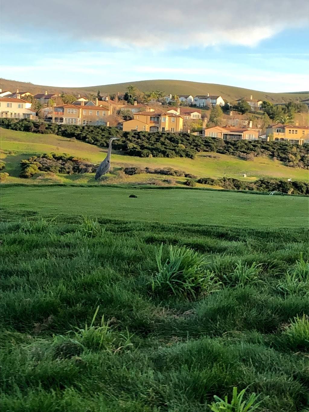 The Bridges Golf Club | restaurant | 9000 S Gale Ridge Rd, San Ramon, CA 94582, USA | 9257354253 OR +1 925-735-4253