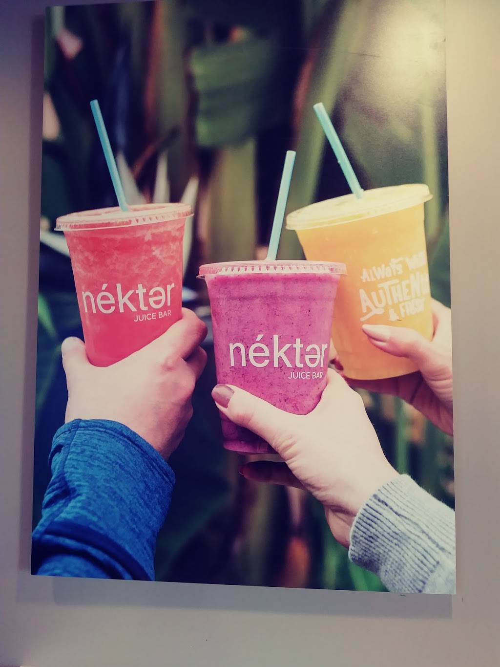 Nekter Juice Bar | cafe | 2001 McHenry Ave ste n, Modesto, CA 95350, USA | 2094088407 OR +1 209-408-8407