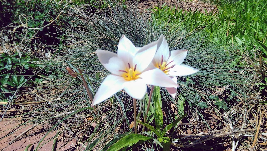 The Agora | shopping mall | 7 Ave Vista Grande, Santa Fe, NM 87508, USA | 5054662602 OR +1 505-466-2602