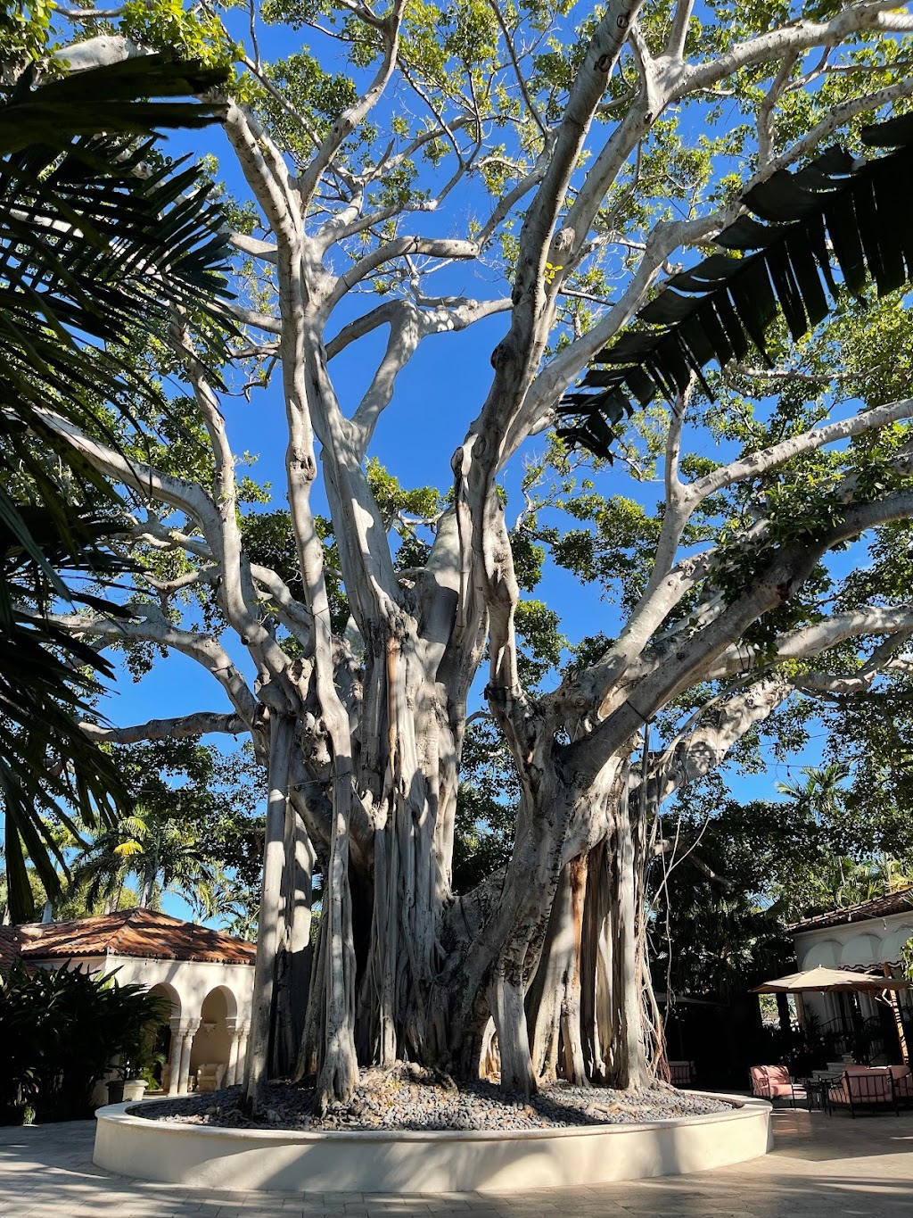 Fisher Island Club Mansion Restaurant | restaurant | 1 Fisher Island Dr, Miami Beach, FL 33109, USA | 3055356000 OR +1 305-535-6000