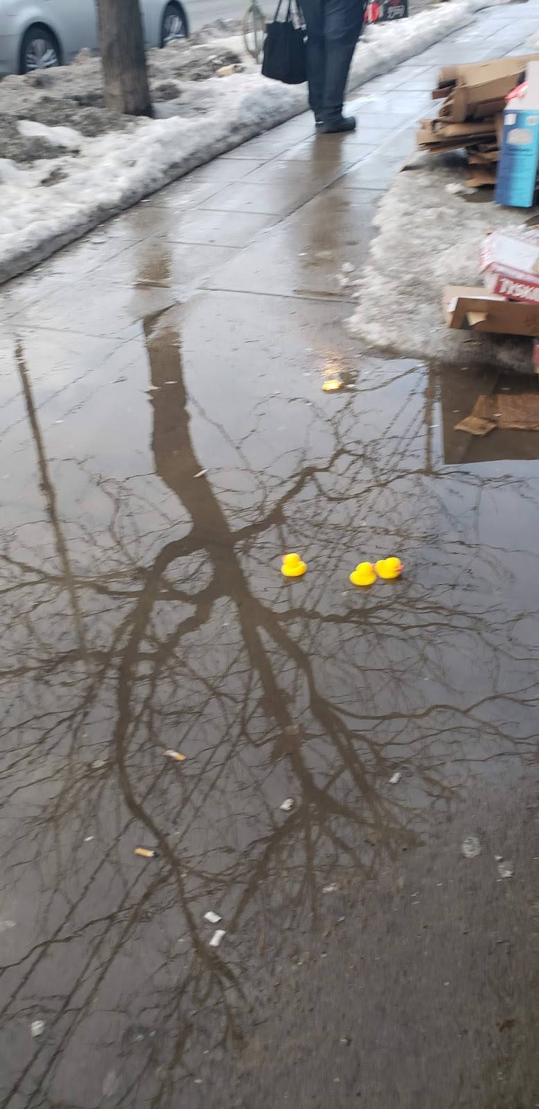 New West City Restaurant & Bar | restaurant | 2387 Lake Shore Blvd W, Etobicoke, ON M8V 1B7, Canada | 4162523646 OR +1 416-252-3646