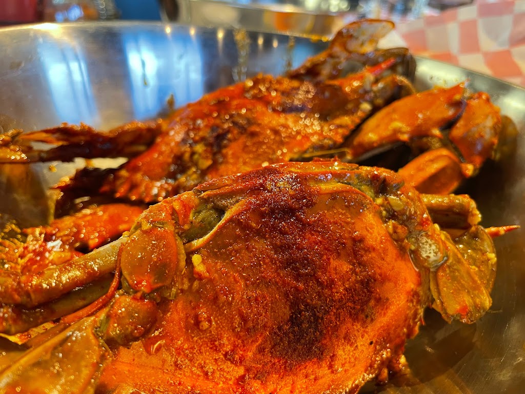 Cajju | restaurant | 9555 Spring Green Blvd ste #J, Katy, TX 77494, USA | 3462574960 OR +1 346-257-4960