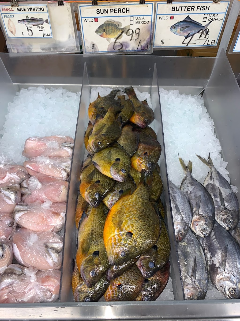 New Fish Plus | restaurant | 573 Martin Luther King Dr, Jersey City, NJ 07304, USA | 2014346646 OR +1 201-434-6646