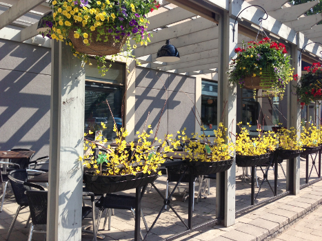 Cafe E | restaurant | 357 Front St, Belleville, ON K8N 2Z8, Canada | 6139681412 OR +1 613-968-1412