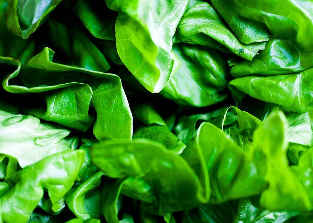 The Fifth Element | restaurant | 111 Broadway, Newport, RI 02840, USA | 4016192552 OR +1 401-619-2552