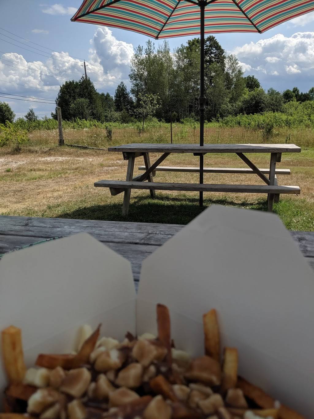 Charleston Cookhouse Chip Truck | restaurant | 312 Charleston Rd, Athens, ON K0E 1B0, Canada | 6136402873 OR +1 613-640-2873