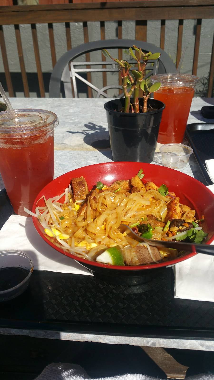 The Asian Kitchen | restaurant | 5415 Bayshore Blvd, Tampa, FL 33611, USA | 8133363060 OR +1 813-336-3060