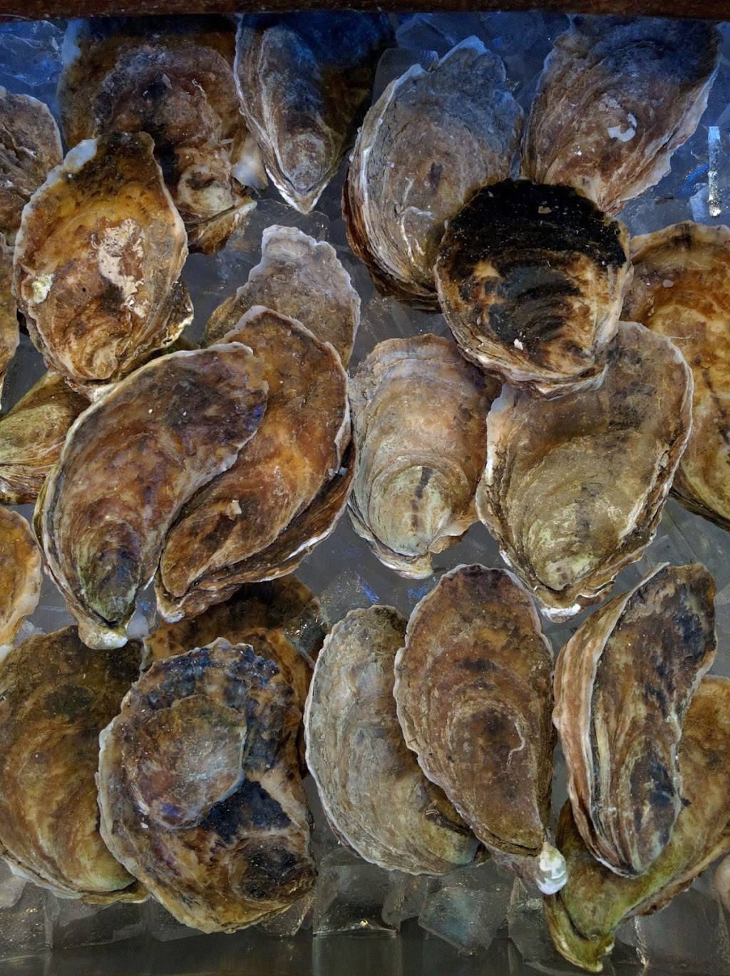 Salty Dog Seafood Grille & Bar | restaurant | 206 S Market St, Boston, MA 02109, USA | 6177422094 OR +1 617-742-2094