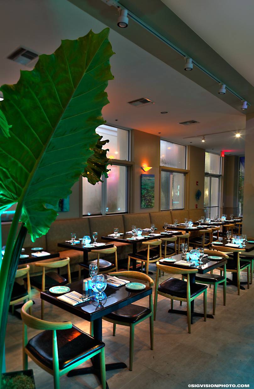 AquaZure Restaurant & Bar | restaurant | 1155 Main St STE 120, Jupiter, FL 33458, USA | 5614295464 OR +1 561-429-5464