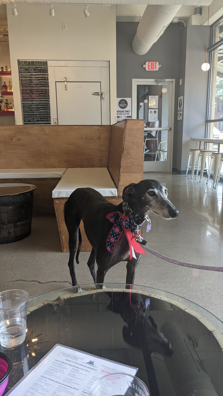 Rileys Sandwich Co. | restaurant | 148 N Milwaukee St, Milwaukee, WI 53202, USA | 4142313628 OR +1 414-231-3628