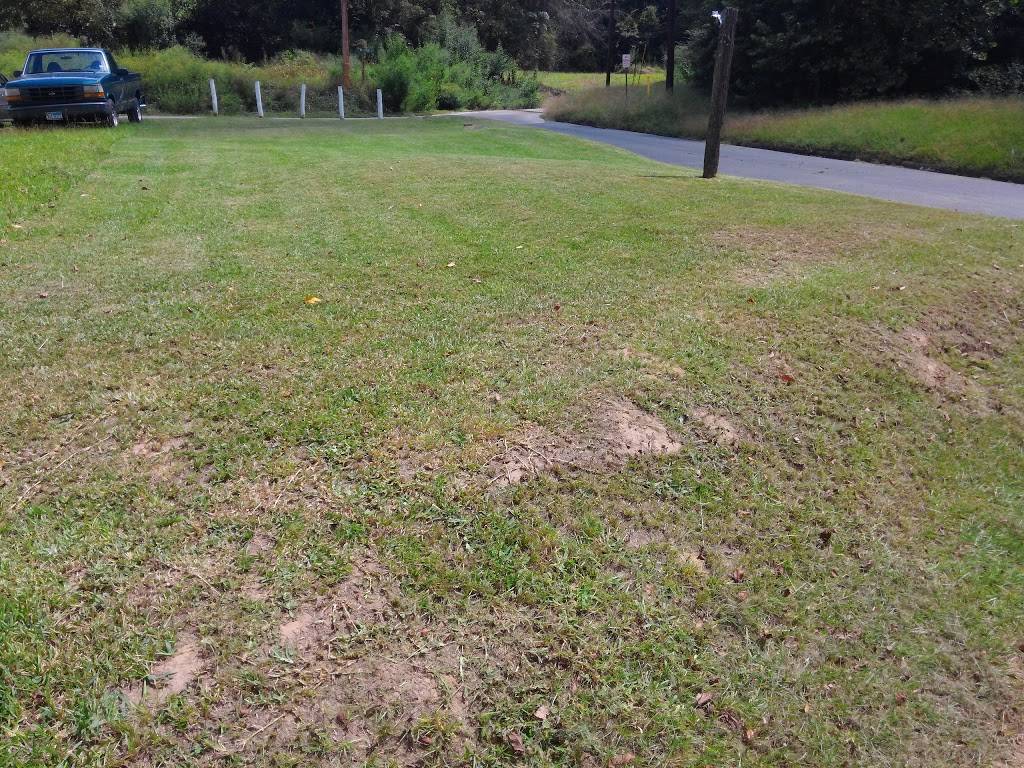 Jalisco Tacos | restaurant | 1003 Martin Luther King Jr Blvd, Nacogdoches, TX 75961, USA | 9365609800 OR +1 936-560-9800