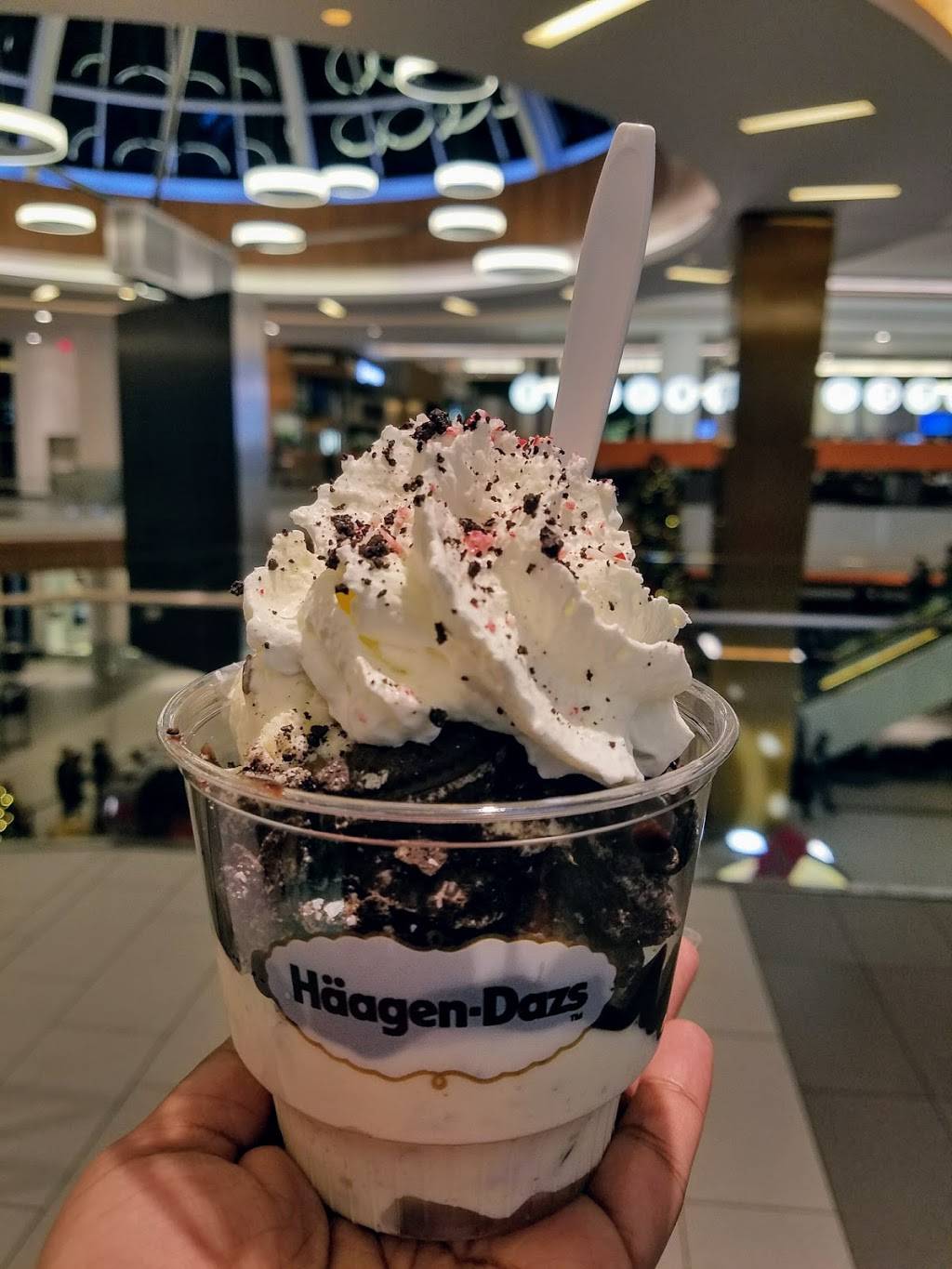 Häagen-Dazs | restaurant | 630 Old Country Rd, Garden City, NY 11530, USA | 5167423639 OR +1 516-742-3639