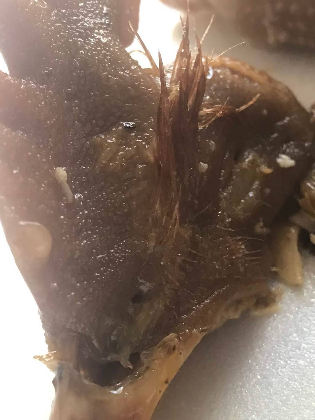 Bolsa BBQ | restaurant | 8938 Bolsa Ave, Westminster, CA 92683, USA | 7149032485 OR +1 714-903-2485