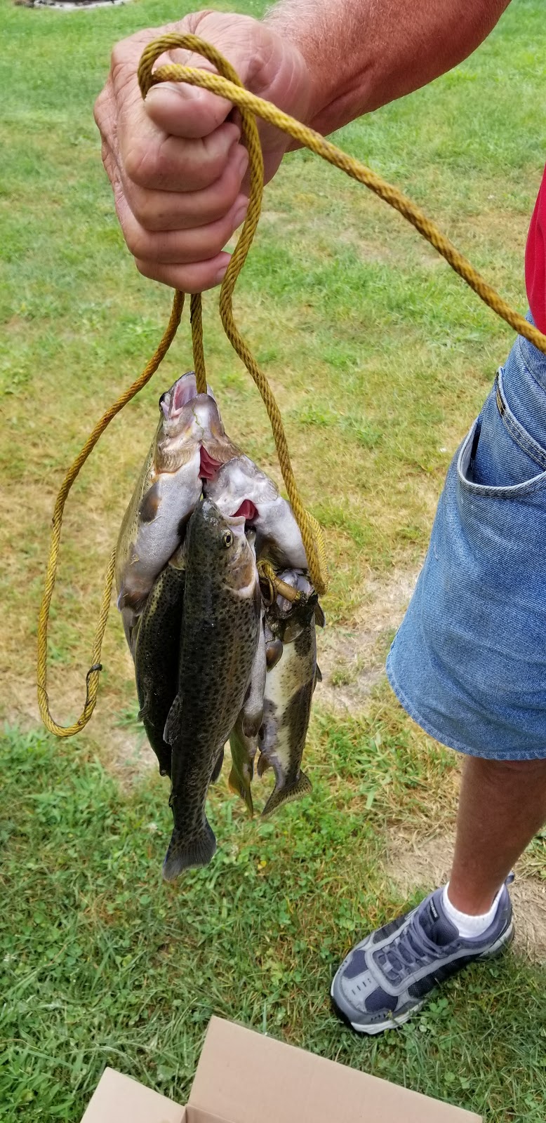 Red Barn Campground & Restaurant | restaurant | 2609 Main St, Lansing, IA 52151, USA | 5635384956 OR +1 563-538-4956