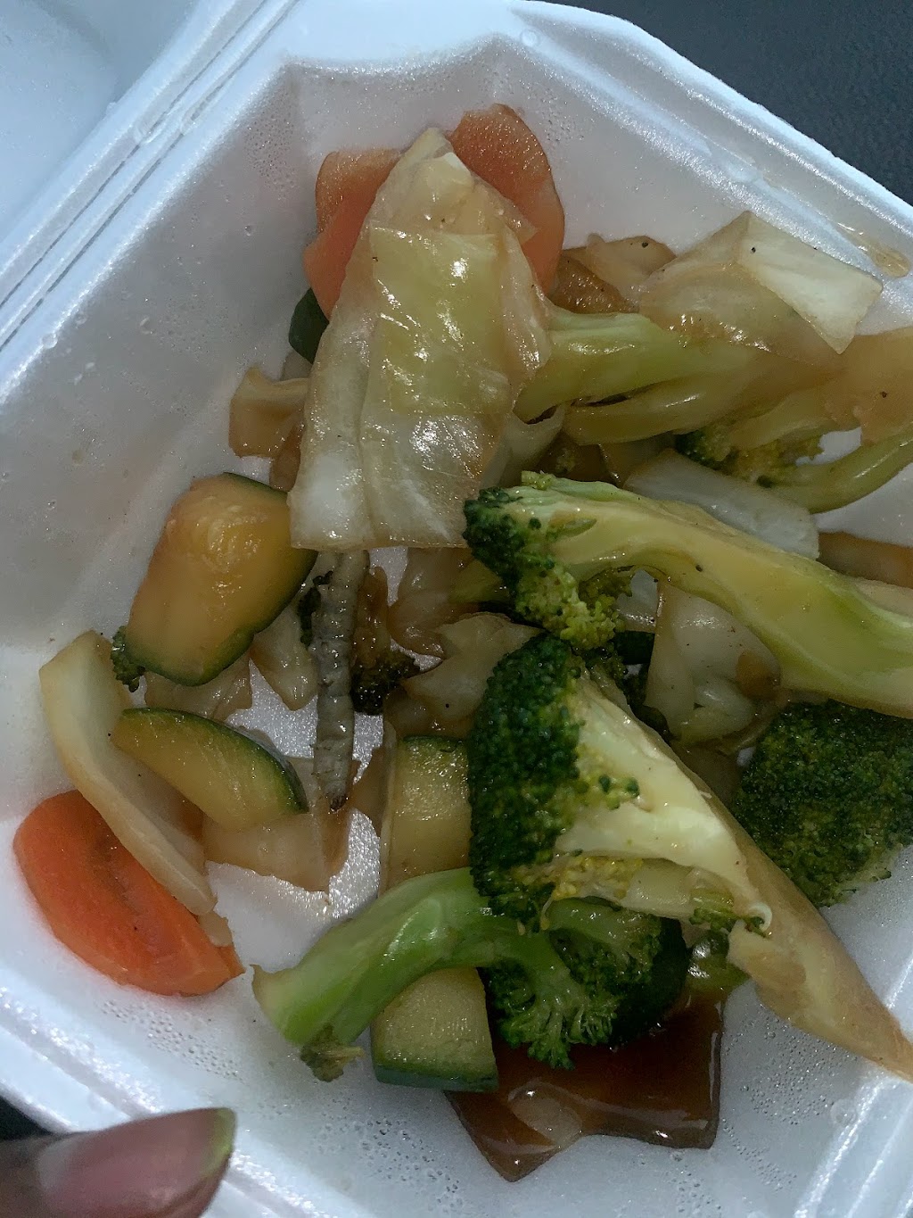 Roboto Tokyo Grill | restaurant | 2043 W Pensacola St, Tallahassee, FL 32304, USA | 8505744126 OR +1 850-574-4126