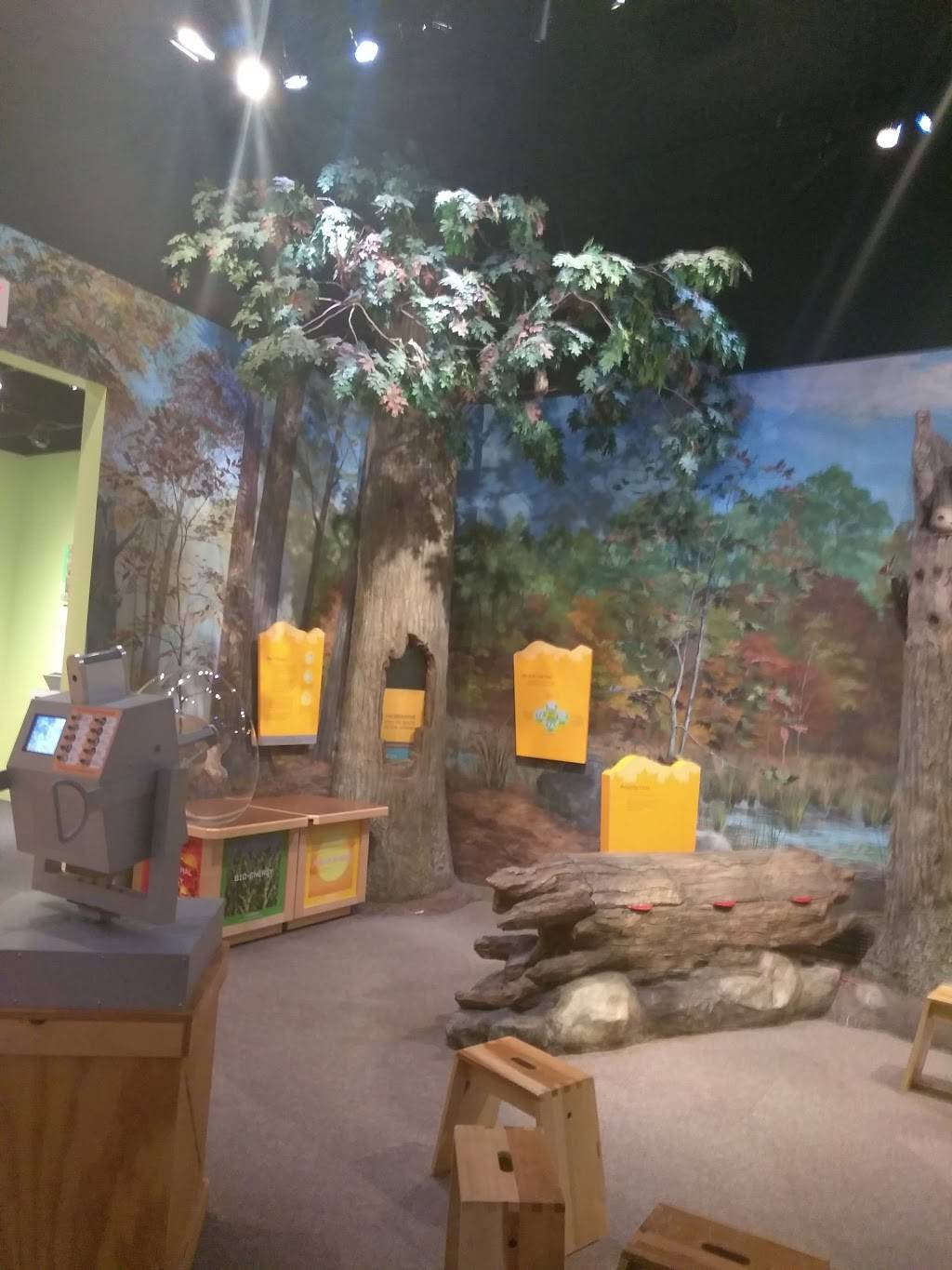 Jersey Fried Chicken | restaurant | 86 Bloomfield Ave, Newark, NJ 07104, USA | 9737322192 OR +1 973-732-2192