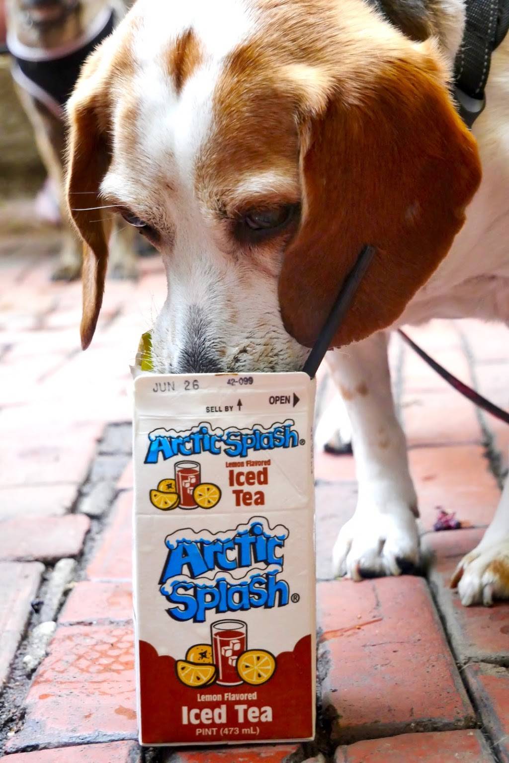 Interstate Drafthouse | restaurant | 1235 E Palmer St, Philadelphia, PA 19125, USA | 2674550045 OR +1 267-455-0045