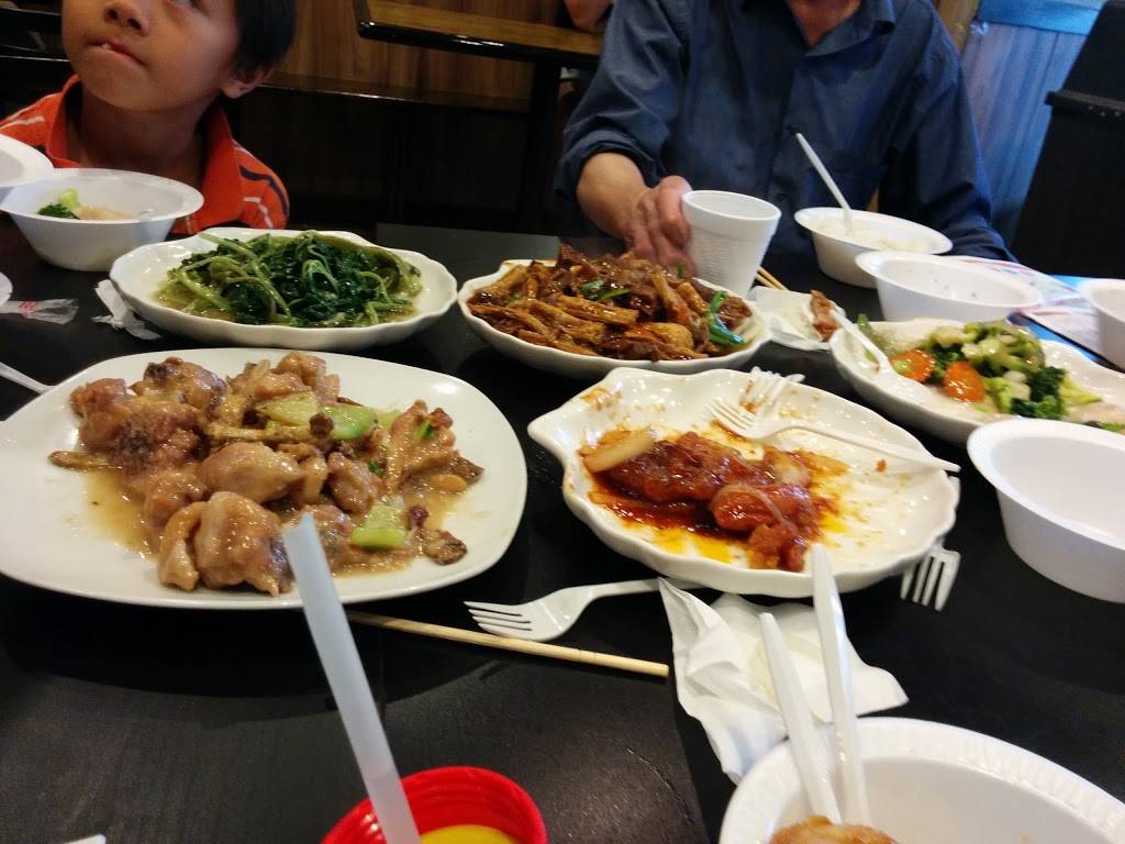 New Forest Cafe | cafe | 7617 New Utrecht Ave, Brooklyn, NY 11214, USA | 7183318833 OR +1 718-331-8833