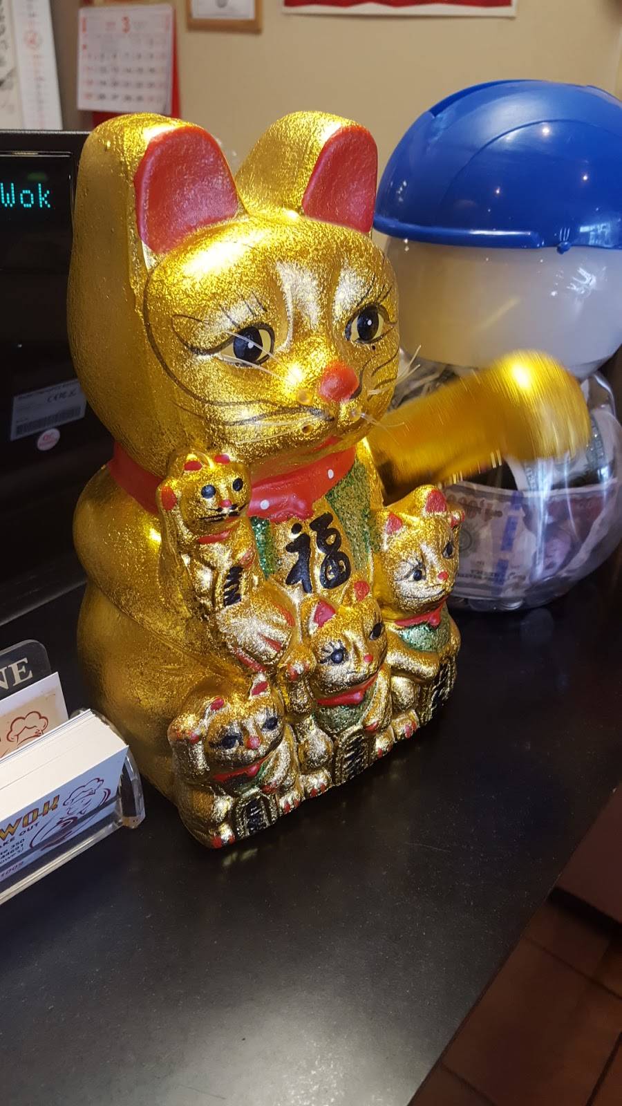 Asian Wok | restaurant | 3786 Burbank Rd STE350, Wooster, OH 44691, USA | 3302631006 OR +1 330-263-1006