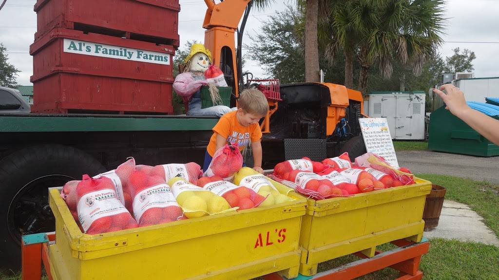 Dunkin | bakery | 4412 FL-46, Mims, FL 32754, USA | 3213833090 OR +1 321-383-3090