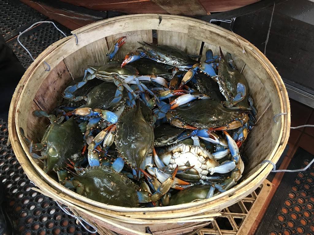 Mega Seafood | restaurant | 1181 Morrison Ave, Bronx, NY 10472, USA | 7188422690 OR +1 718-842-2690