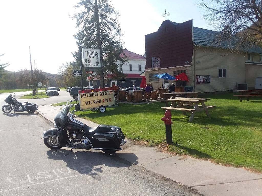 Tonys Saloon | restaurant | 1180 S Main St, Minneiska, MN 55910, USA | 5079324969 OR +1 507-932-4969