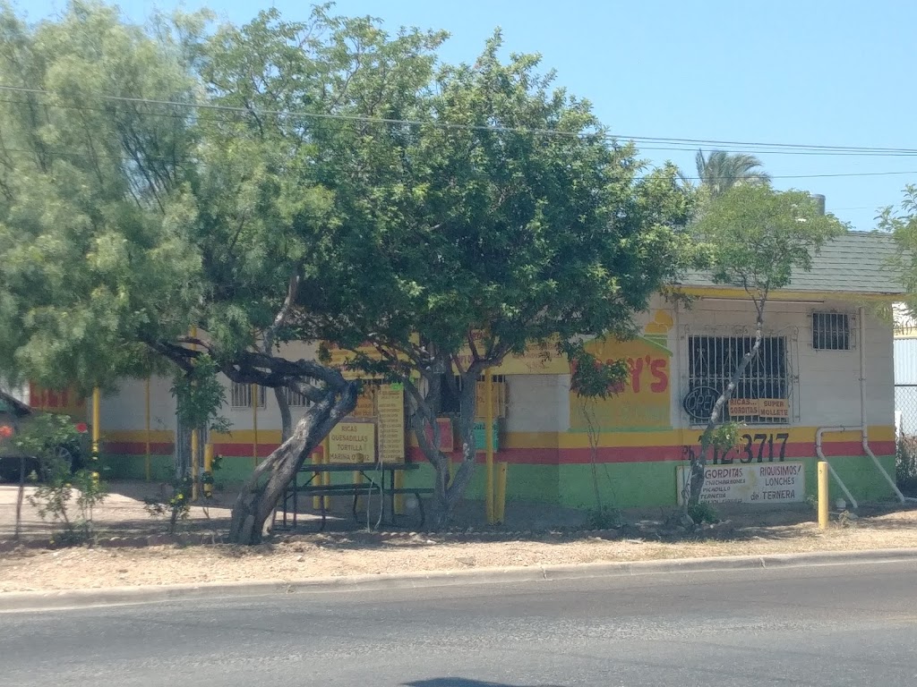 Lilys Food Stand | meal takeaway | 101 W Lyon St, Laredo, TX 78040, USA | 9567123717 OR +1 956-712-3717