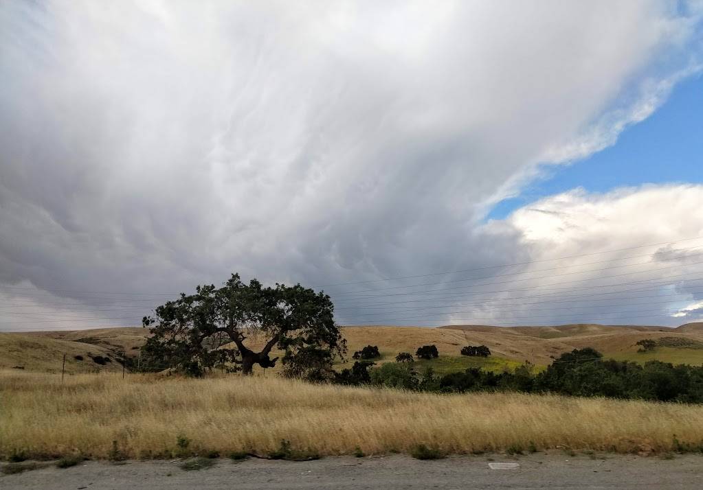 Coyote Creek Golf Club | restaurant | 1 Coyote Creek Golf Dr, Morgan Hill, CA 95037, USA | 4084631400 OR +1 408-463-1400