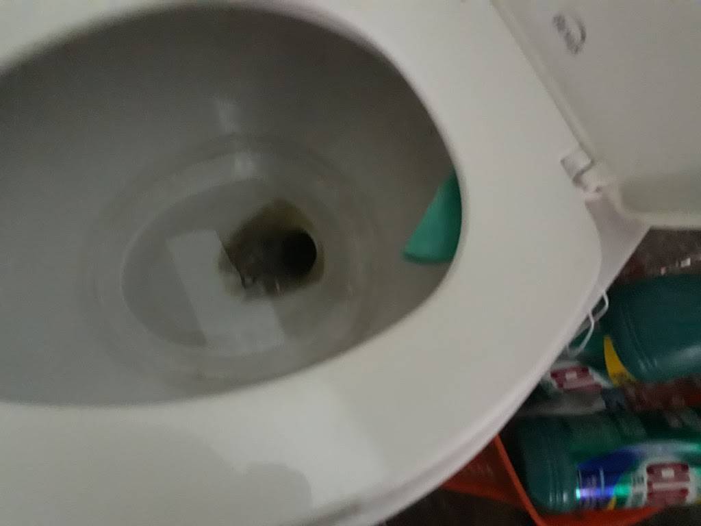 MARISCOS LOS CORITAS | restaurant | Blvd. Benito Juárez 1564, Machado Sur, 22700 Rosarito, B.C., Mexico | 016611107953 OR +52 661 110 7953