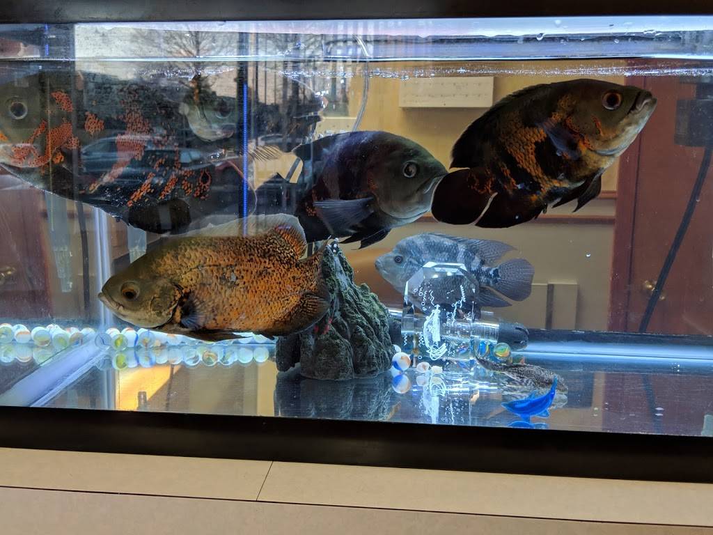 Number One House | restaurant | 7530 Castor Ave, Philadelphia, PA 19152, USA | 2157222310 OR +1 215-722-2310