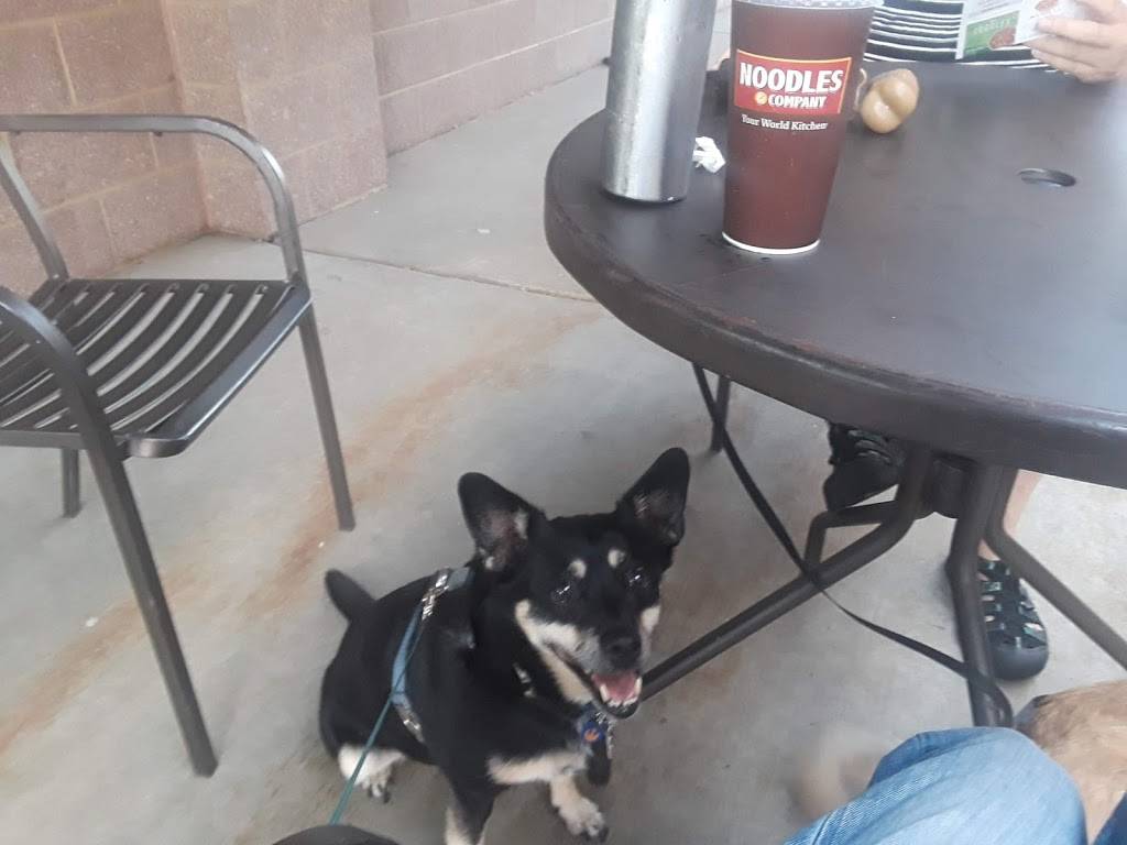 Noodles and Company | restaurant | 5363 W Main St, Kalamazoo, MI 49009, USA | 2693824100 OR +1 269-382-4100