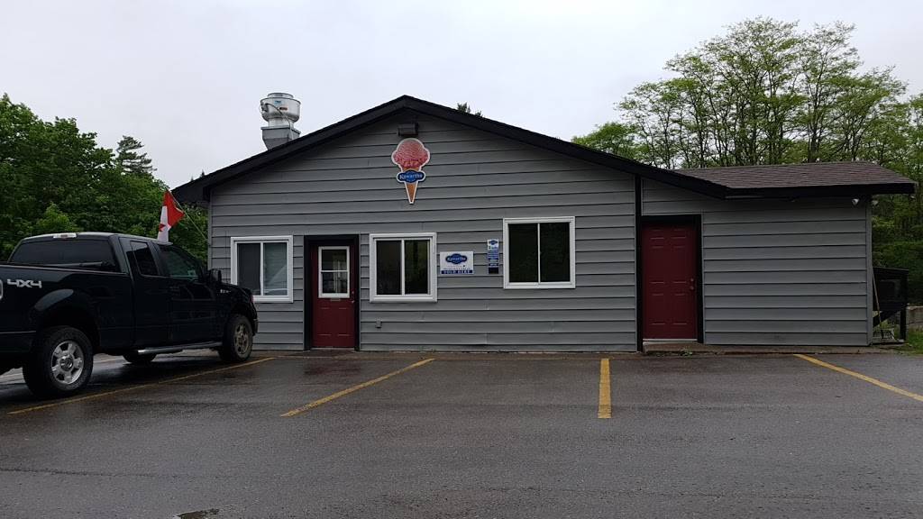 Youngs Point Diner & Pizzeria | restaurant | 403 S Beach Rd, Lakefield, ON K0L 2H0, Canada | 7056528359 OR +1 705-652-8359