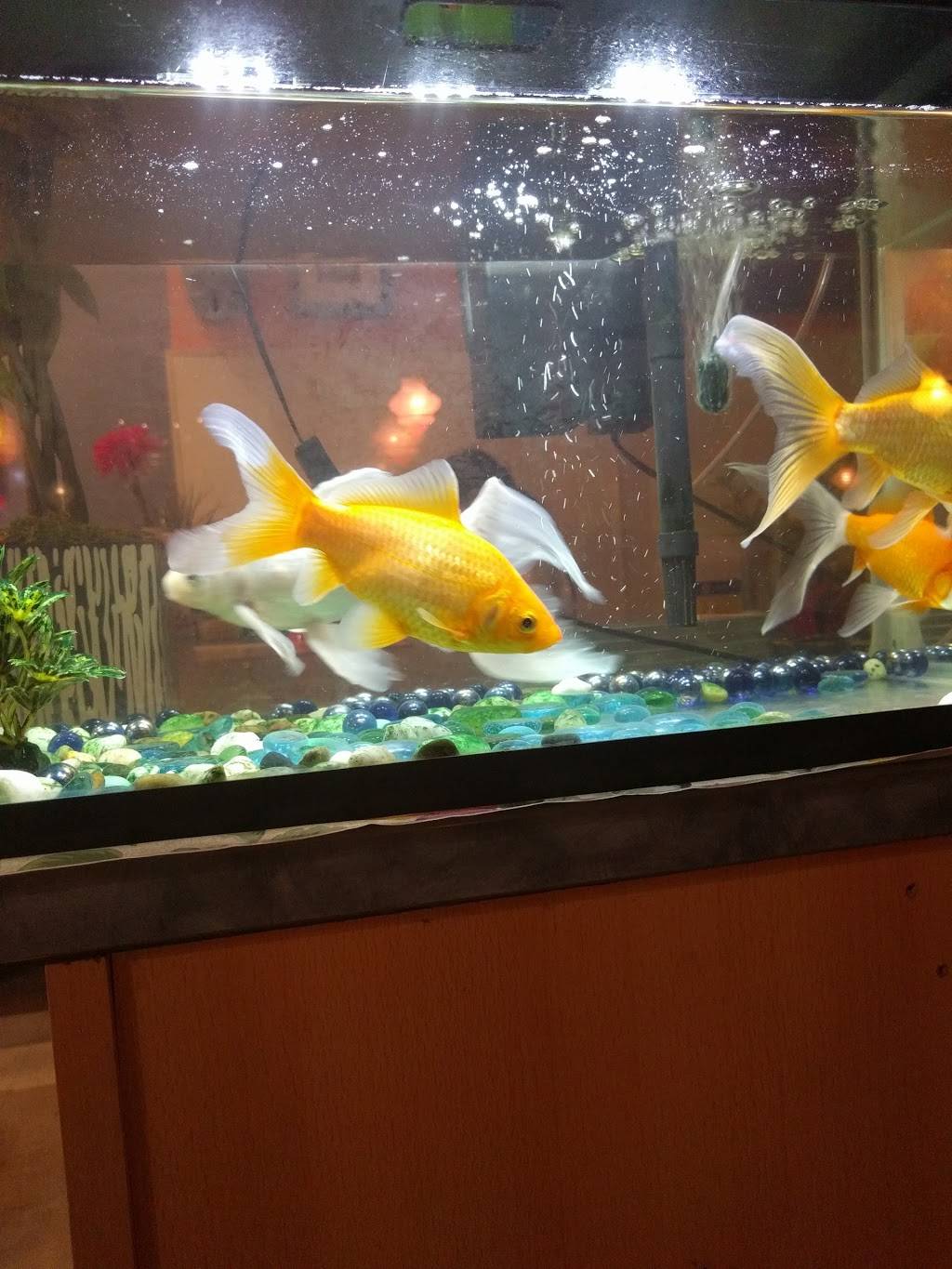 Sweet Mango | meal delivery | 206 E Main St, Milford, MA 01757, USA | 5083813619 OR +1 508-381-3619