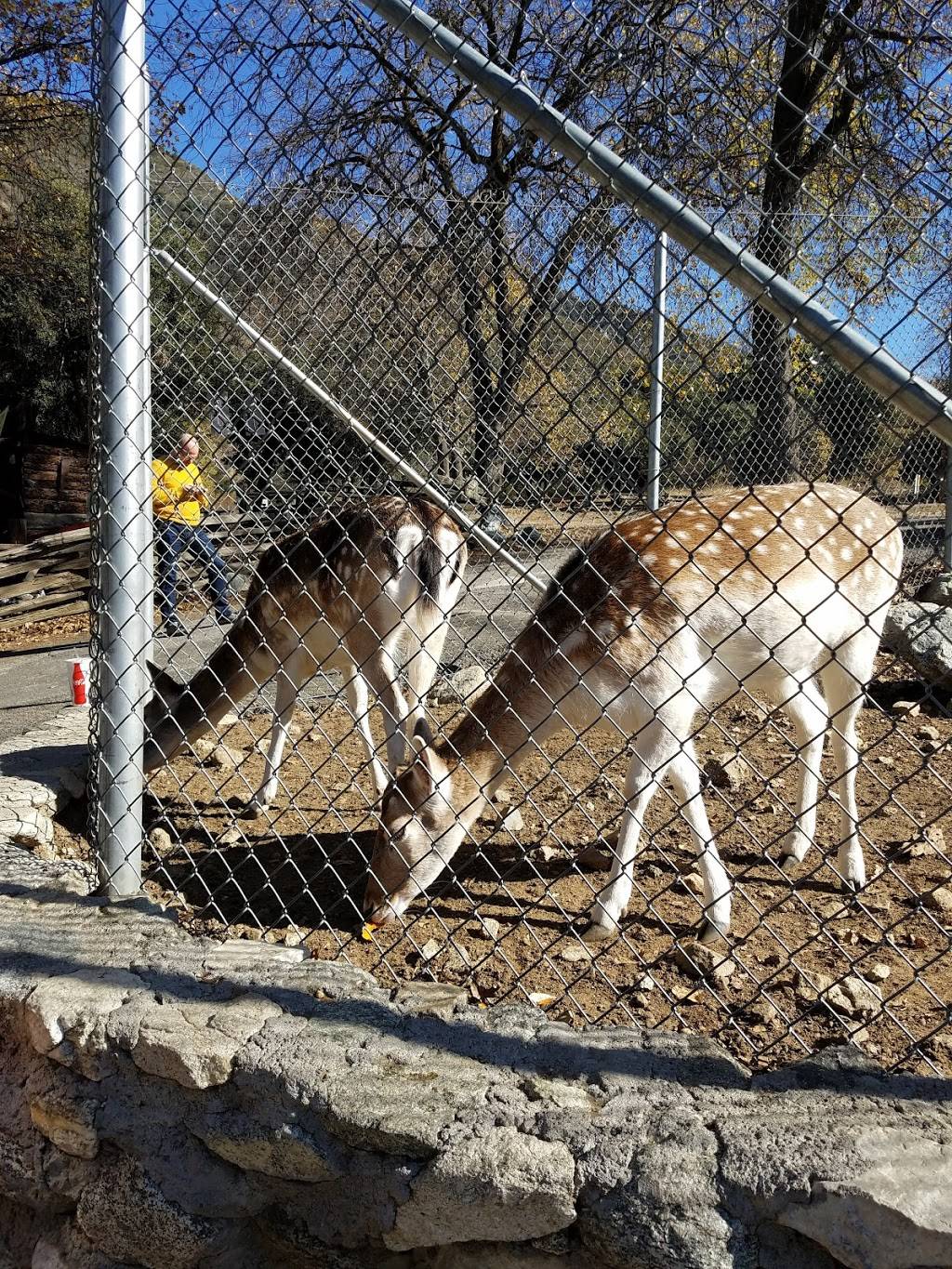 Oak Tree Mountain | bakery | 38480 Oak Glen Rd, Yucaipa, CA 92399, USA | 9097972311 OR +1 909-797-2311