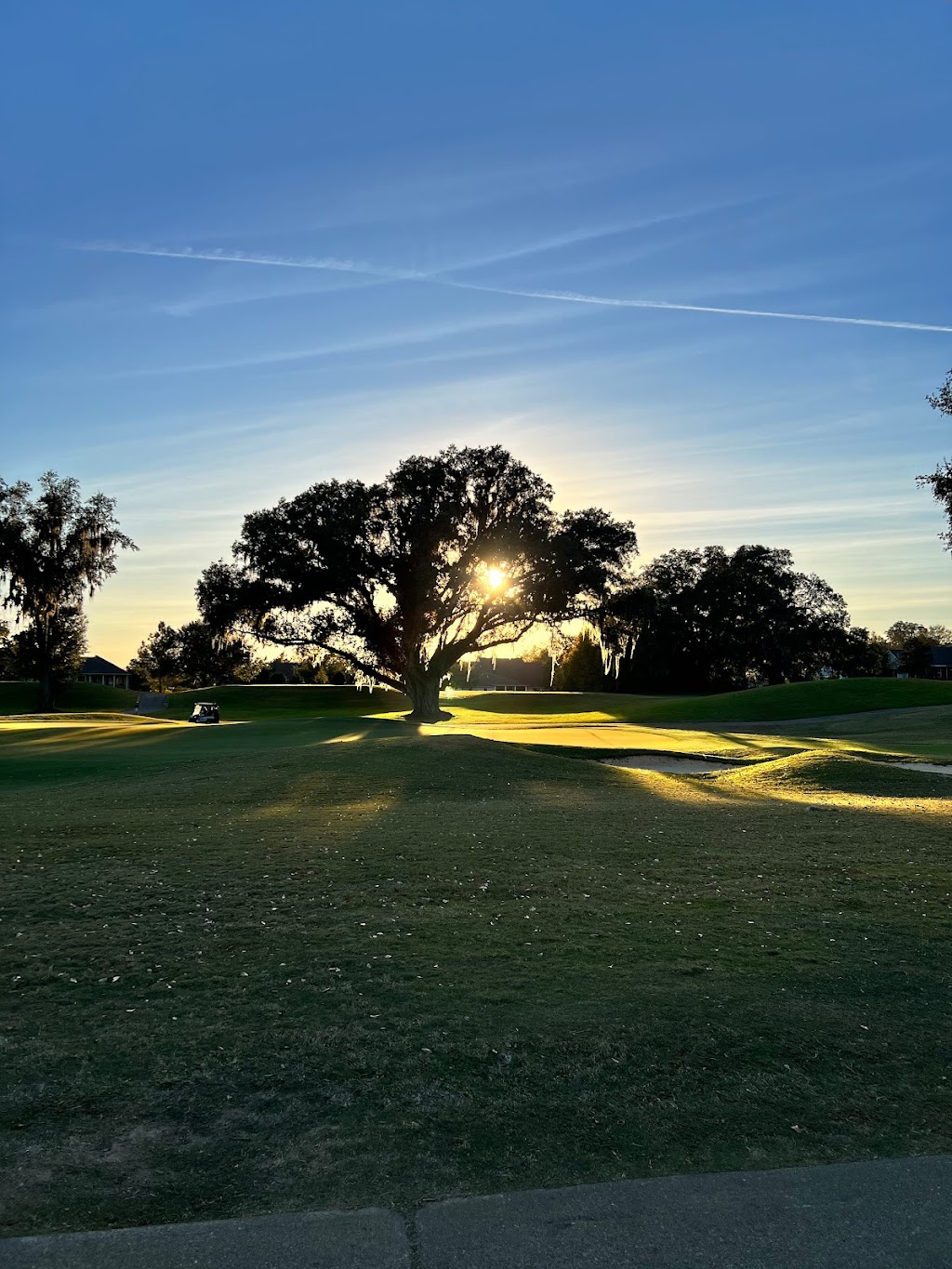 SouthWood Golf Club | restaurant | 3750 Grove Park Drive, Tallahassee, FL 32311, USA | 8509424653 OR +1 850-942-4653