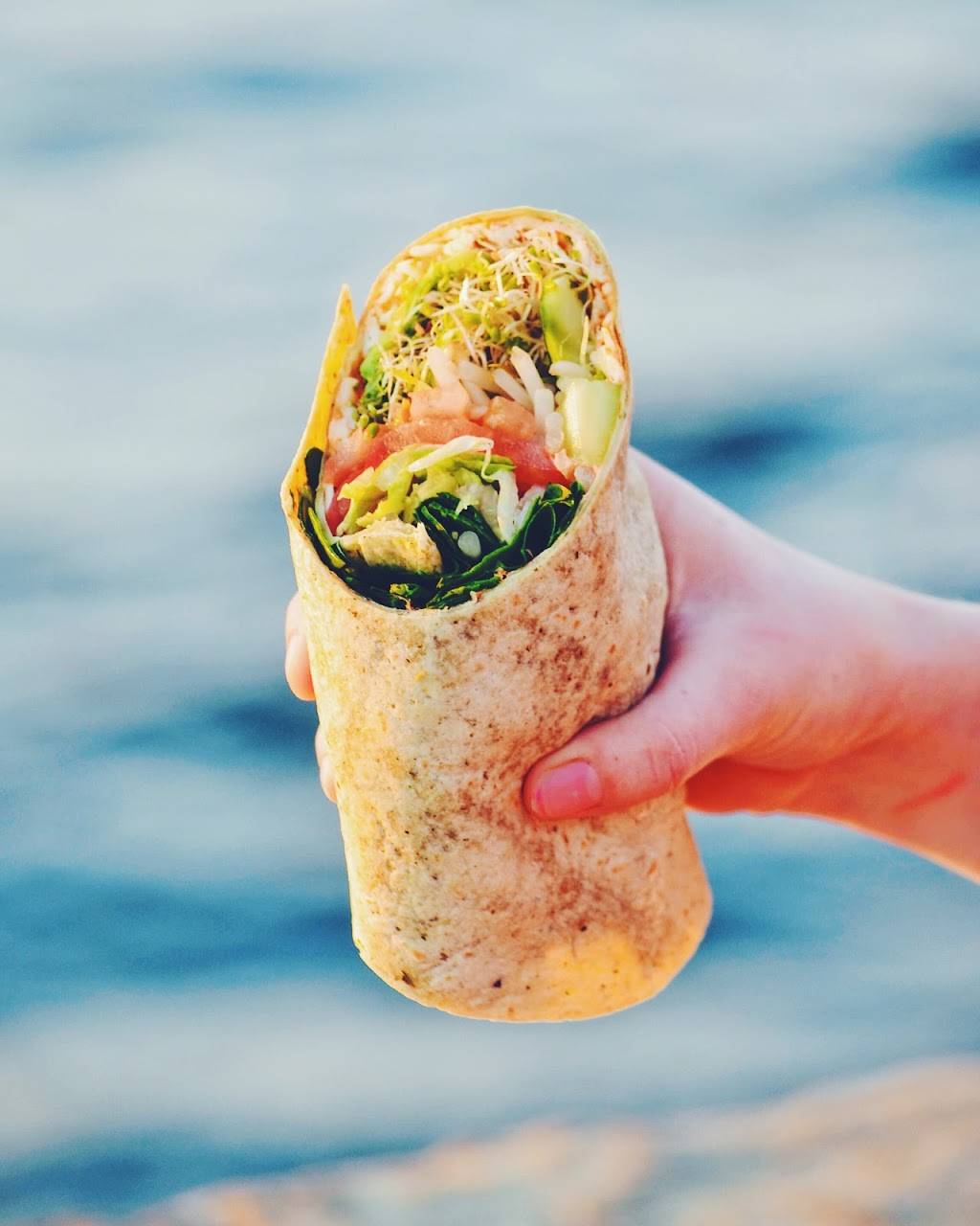 The WrapShack | restaurant | 9490 Cuyamaca St, Santee, CA 92071, USA | 6193328319 OR +1 619-332-8319