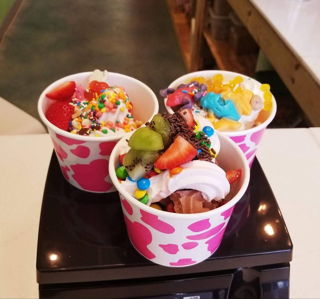 Yobe Frozen Yogurt | restaurant | 16731 Fishhawk Blvd, Lithia, FL 33547, USA | 8136531033 OR +1 813-653-1033