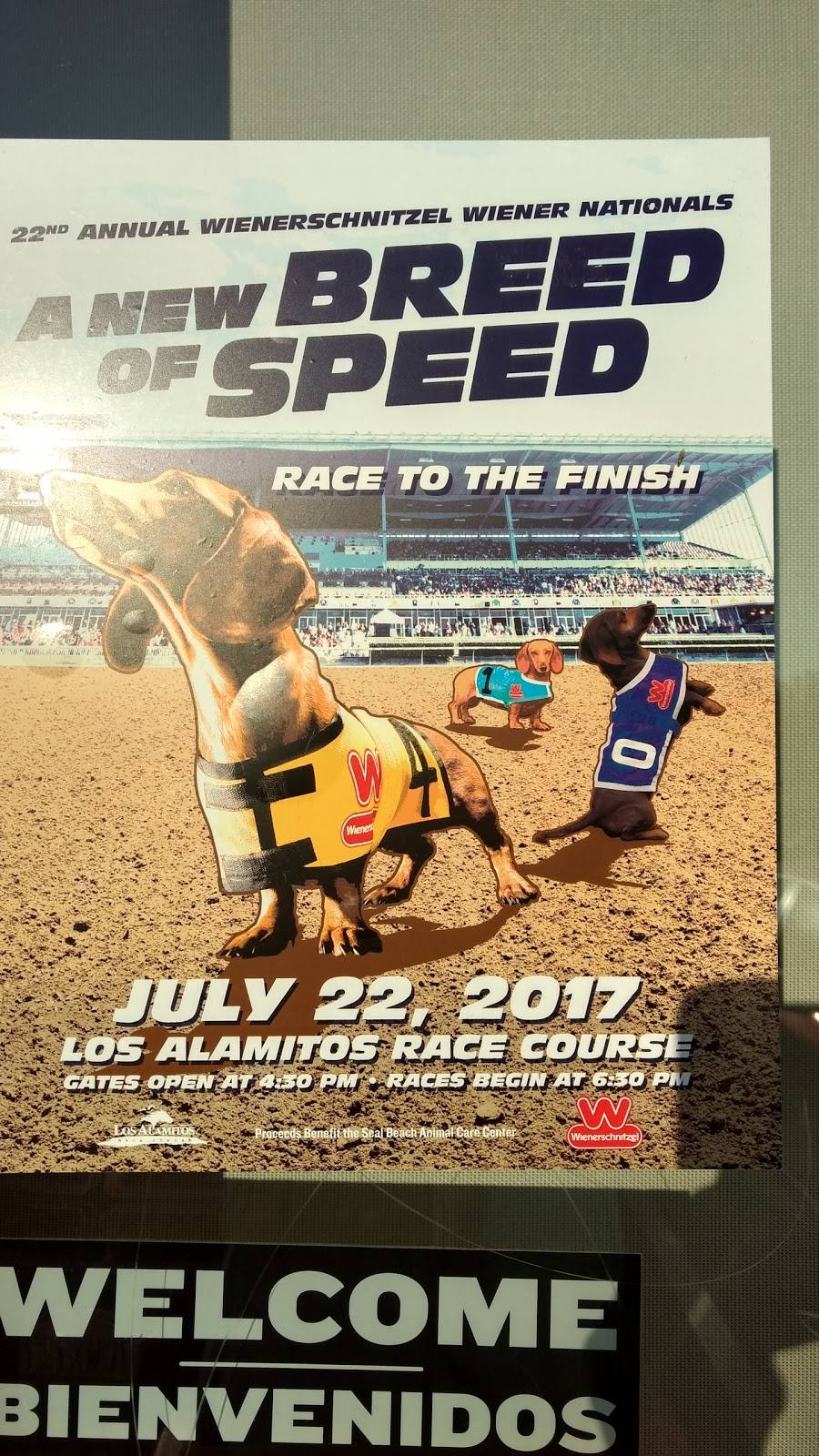 Wienerschnitzel | restaurant | 1961 W Redlands Blvd, Redlands, CA 92373, USA | 9093079055 OR +1 909-307-9055