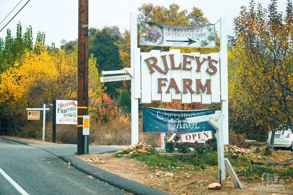 Rileys Farm | restaurant | 12261 Oak Glen Rd, Yucaipa, CA 92399, USA | 9097977534 OR +1 909-797-7534