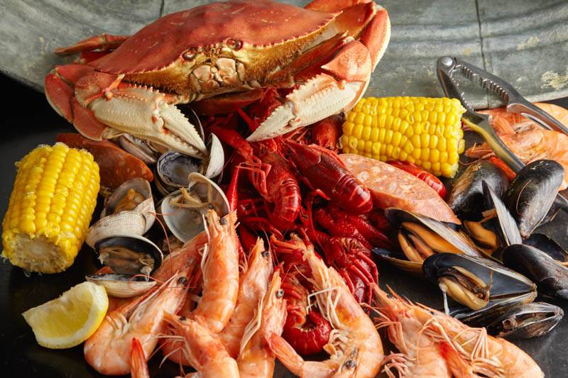 Backyard Bayou | restaurant | 32280 Dyer St, Union City, CA 94587, USA | 5106750095 OR +1 510-675-0095