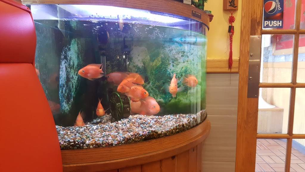 New Grand Buffet | restaurant | 1220 N Bridge St # A, Chillicothe, OH 45601, USA | 7407726688 OR +1 740-772-6688