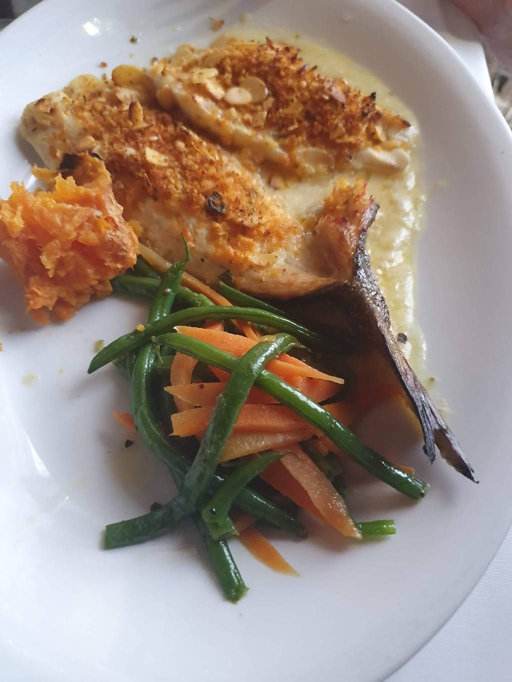 Josephines Italian Restaurant | restaurant | 5751 N Federal Hwy, Boca Raton, FL 33487, USA | 5619880668 OR +1 561-988-0668