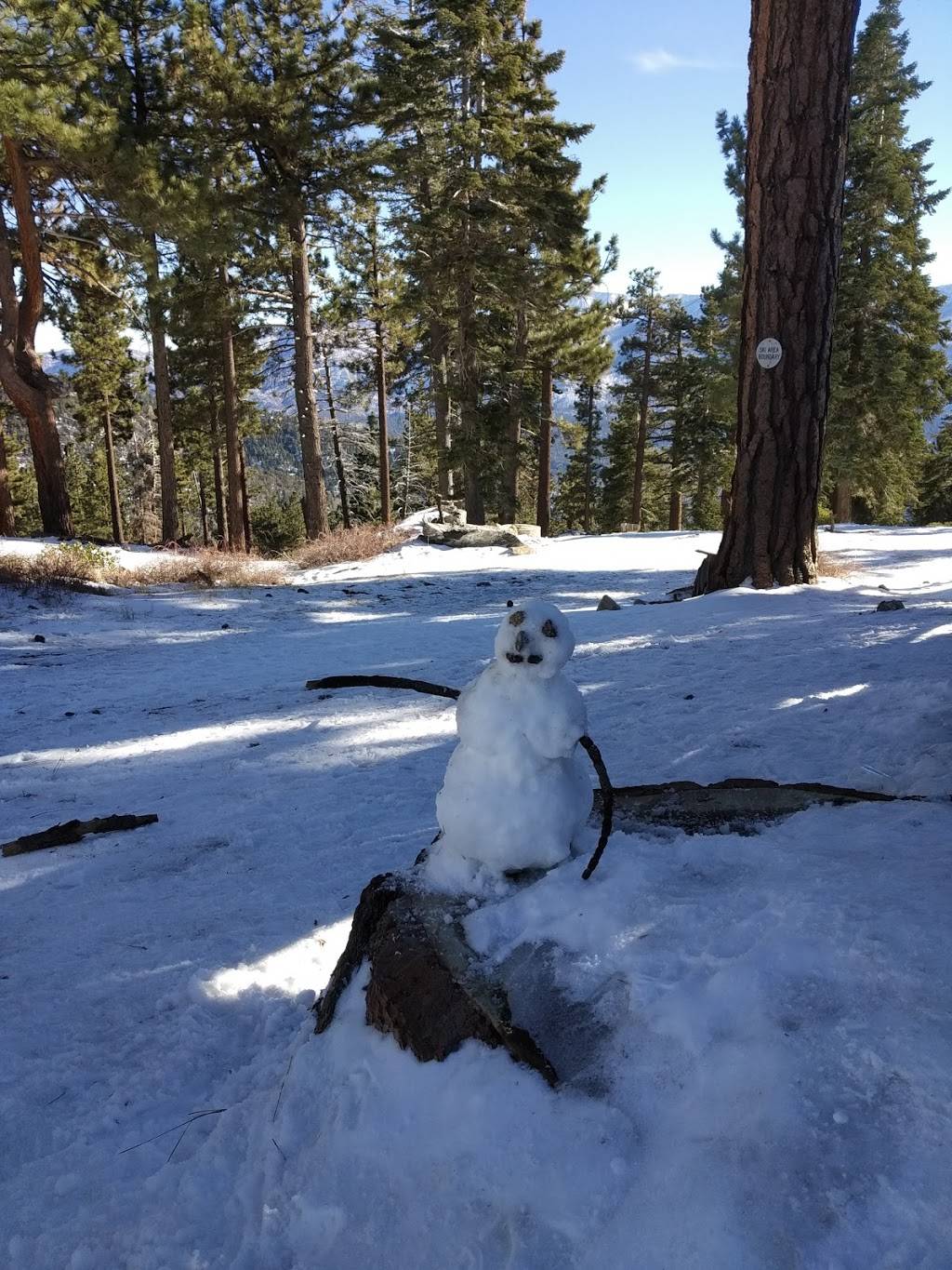 Hog on the Rocks | restaurant | 880 Summit Blvd #2110, Big Bear Lake, CA 92315, USA | 9098665766 OR +1 909-866-5766