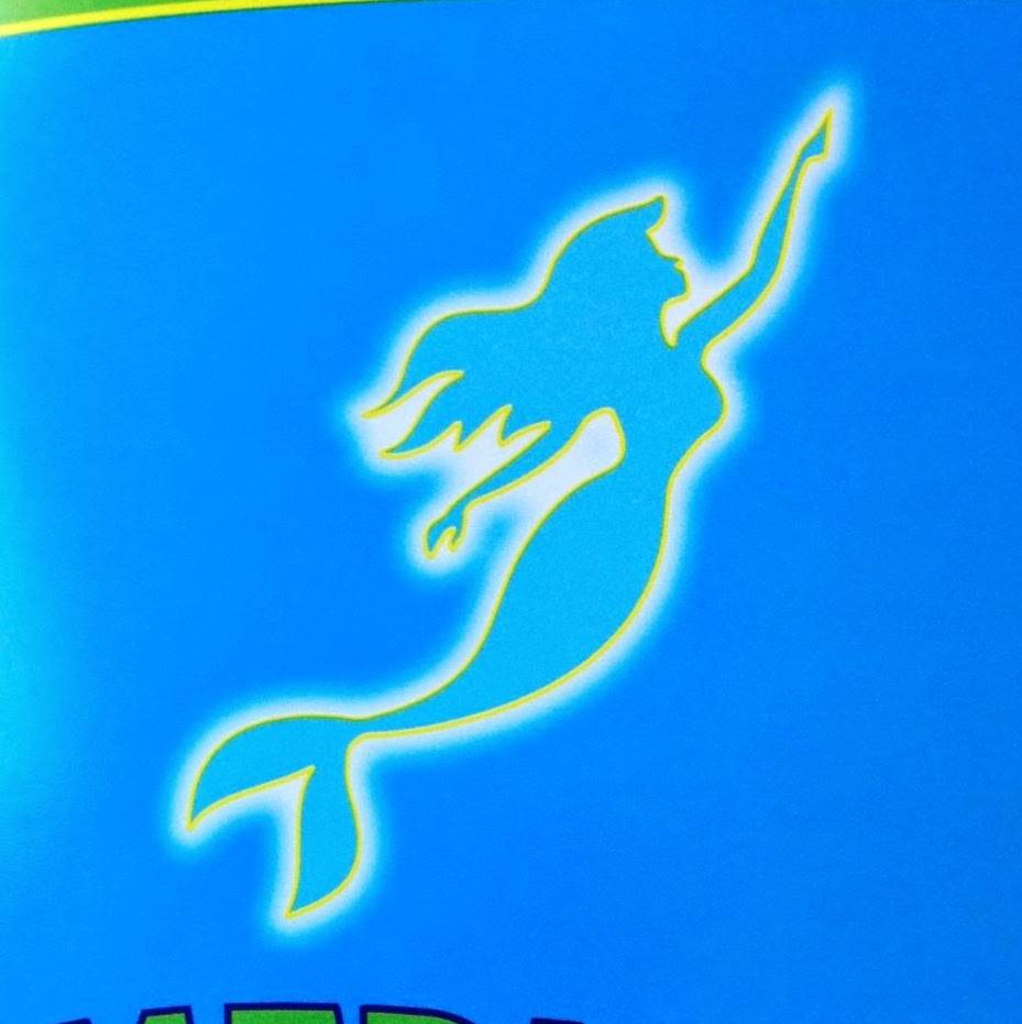 Mermaid Fish & Chicken | restaurant | 6421 S Martin Luther King Dr, Chicago, IL 60637, USA | 7736758298 OR +1 773-675-8298