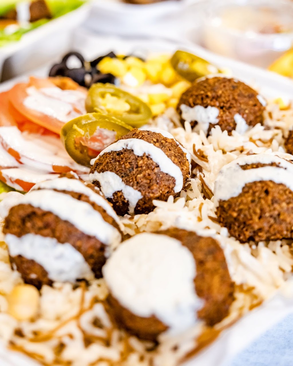 Abu Omar Halal | restaurant | 3961 Legacy Dr, Plano, TX 75023, USA | 4697993290 OR +1 469-799-3290