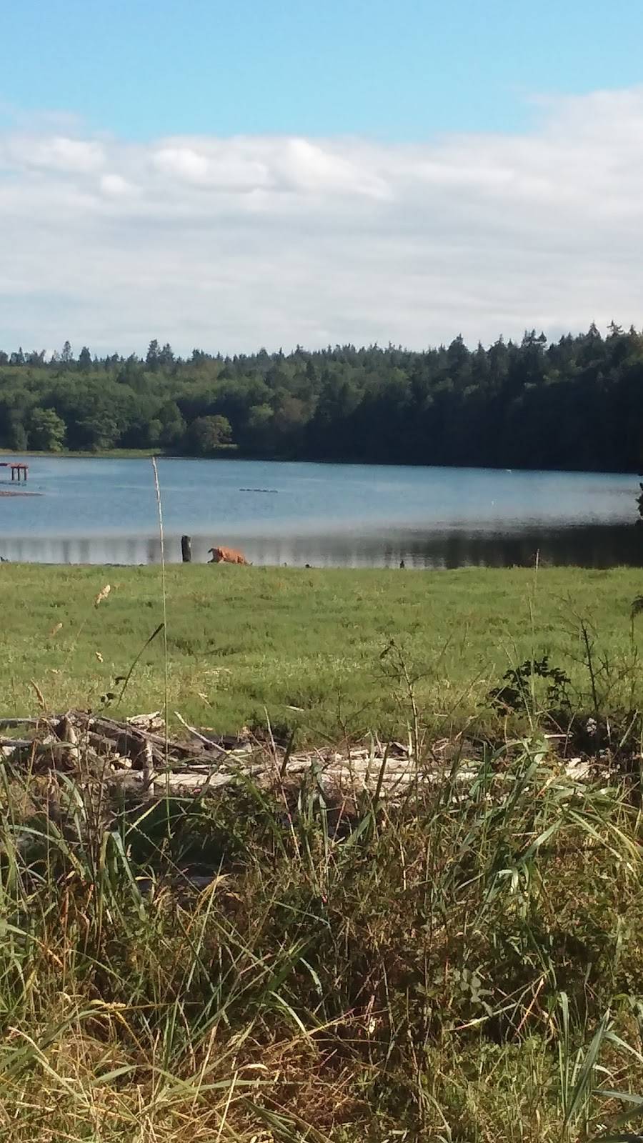 Ajax Cafe | restaurant | 21 S Water St, Port Hadlock-Irondale, WA 98339, USA | 3603851965 OR +1 360-385-1965